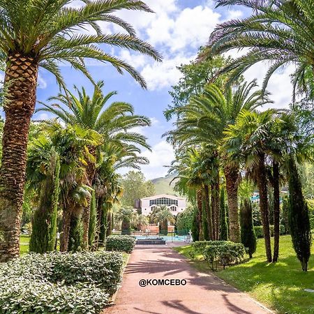 Appartement T1 Bis Avec Jardin Prive Et Piscine, 4 Pers, Cambo-Les-Bains - Fr-1-495-13 Экстерьер фото